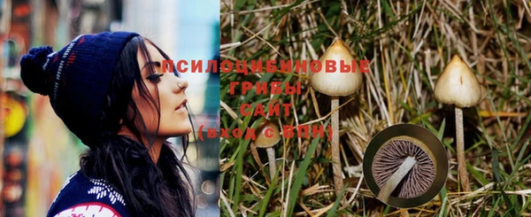 PSILOCYBIN Белоозёрский